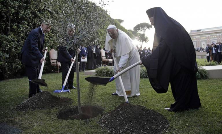 Papa Francesco, dodici mesi in immagini